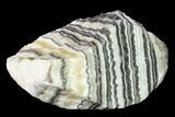 Free-Standing, Banded Zebra Calcite - Mexico #155772-2